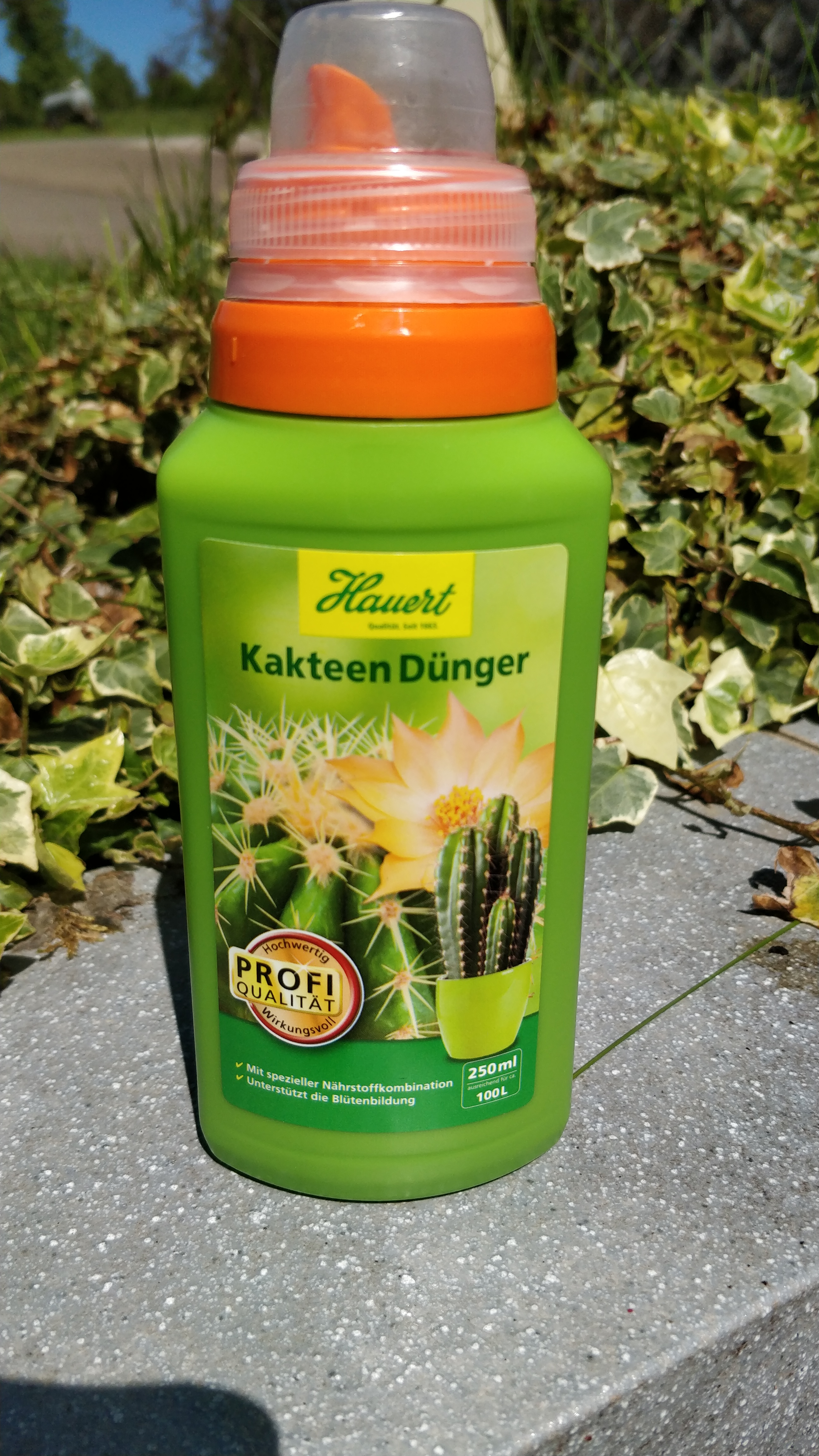 Chrysal Kakteen Kakteendünger Spezialdünger 250ml